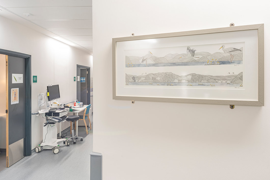 Original drawings framed to hang in maternity reception